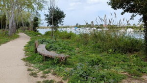 Il Parco d'Affaccio di Ostia Antica: un milione e mezzo per guardare il Tevere… e basta