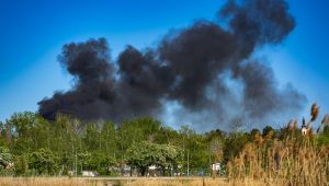 A Fiumicino ogni estate gli stessi incendi, ogni estate la stessa storia