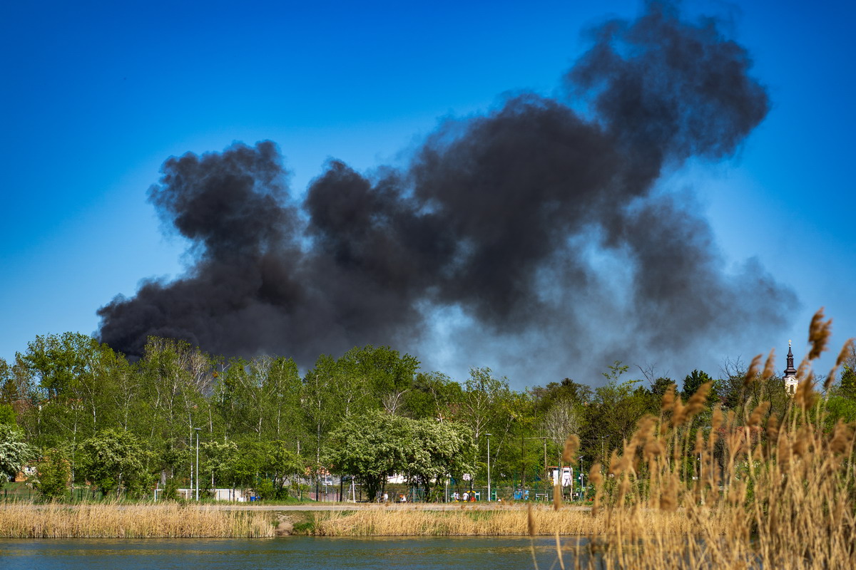 A Fiumicino ogni estate gli stessi incendi, ogni estate la stessa storia